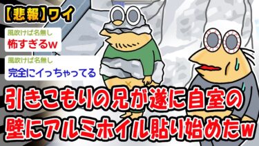 【2ch人情屋台】【バカ】引きこもりの兄が遂に自室の壁にアルミホイル貼り始めて草ww【2ch面白いスレ】