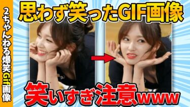 【ゆっくり爆笑図鑑】【おもしろgif】おもしろgif画像で笑ったら負けww by 2ch【コメ付き】【ゆっくり解説】【2chスレ】【5ch】#239