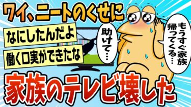 【なんJ民の巣窟】【2ch面白スレ】やばいニートのくせに家族のテレビ壊しちゃった【ゆっくり解説】