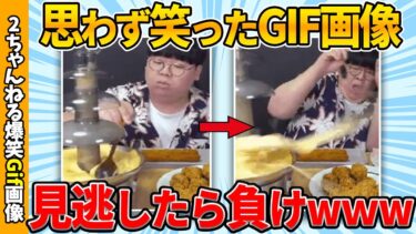 【ゆっくり爆笑図鑑】【総集編】何度見ても笑えるおもしろgif画像ww by 2ch【コメ付き】【ゆっくり解説】【2chスレ】【5ch】