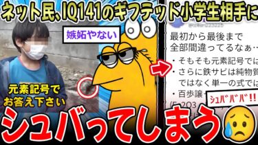 【イッチーズ】【ギフテッド】IQ141の天才小学生の悩み、おじさん2ch民をイラつかせてしまう【2ch面白いスレ】