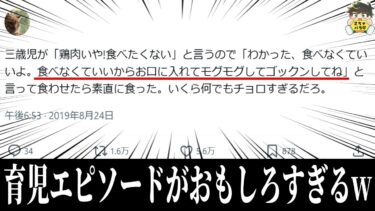 【2chバラエティ】【育児のリアル】ママさんの奮闘エピソードが申し訳ないけどおもしろすぎるwww笑ったら寝ろwww【ゆっくり】