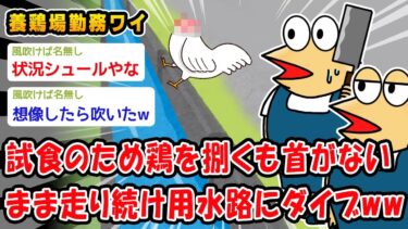 【2ch人情屋台】【悲報】養鶏所勤務ワイ、試食のために上司が鶏を捌くも首がないまま走り続けて用水路にダイブするww【2ch面白いスレ】