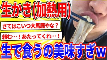 【鉄人28匹ギコ&しぃ】生かき（加熱用）を生で食ったら美味すぎﾜﾛﾀwww【2ch面白いスレゆっくり解説】