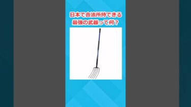 【2chホウソウキョク】日本で合法所持できる最強武器ってなに？