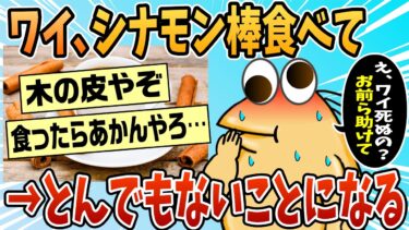 【なんJ民の巣窟】【2ch面白スレ】お前ら助けて、シナモン食ってから体調悪い【ゆっくり解説】