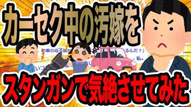 【2chで笑いを叫ぶ】カーセク中の汚嫁をスタンガンで気絶させてみた【2ch修羅場スレ】