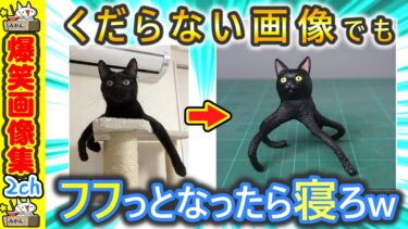 【5ちゃんねこ】【おもしろ】くだらない画像でフフっとなったら寝ろ 2ch