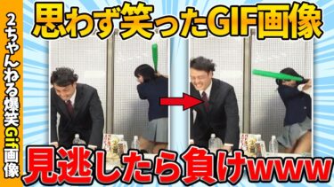 【ゆっくり爆笑図鑑】【2chおもしろgif】おもしろgif画像で笑ったら負けww by 2ch【コメ付き】【ゆっくり解説】【2chスレ】【5ch】#234