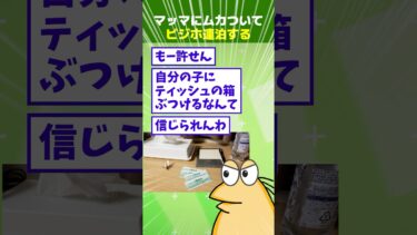 【なんJ民の巣窟】【2ch面白】ワイニート、マッマにムカついてビジホに4泊してしまう