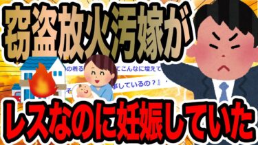 【2chで笑いを叫ぶ】窃盗放火汚嫁がレスなのに妊娠していた【2ch修羅場スレ】