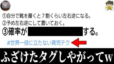 【2chバラエティ】【育児ママ無双】”世界一役に立たない育児テク”の投稿が全部共感できるwww笑ったら寝ろwww【ゆっくり】