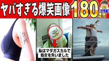 【2chバラエティ】【一挙放送】2024年集めまくった爆笑画像がヤバすぎたwww笑ったら寝ろwww【ゆっくり】