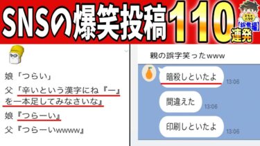 【2chバラエティ】【一挙放送】2024年発見されたSNS投稿がツッコミどころ満載だったwww笑ったら寝ろwww【ゆっくり】