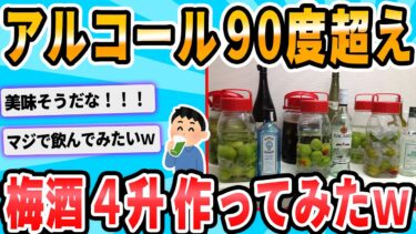 【2chが好きなんだお】【2ch面白いスレ】今年も梅酒を漬けるわけだが