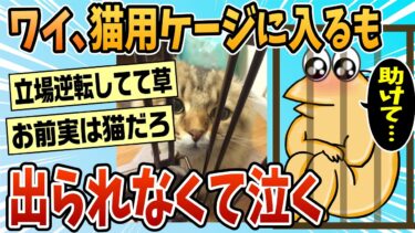 【なんJ民の巣窟】【2ch面白スレ】ワイ、猫用のゲージに入るも出れなくて泣く【ゆっくり解説】