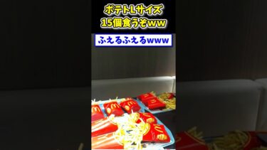 【2ch面白キッチン】【2ch面白いスレ】ポテトLサイズ15個食うぞwww