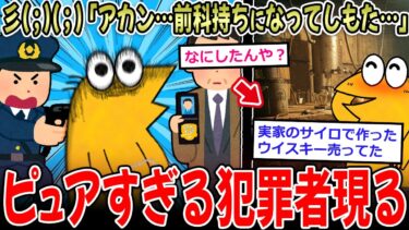 【イッチーズ】【ガチ税】Ｊ民「前科持ちになってもた…でも酒税法違反ってそんな悪ないよな？」→ガチ勢ピュア民、逮捕へ【2ch面白いスレ】