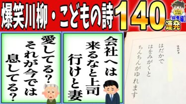 【2chバラエティ】【一挙放送】2024年発見した爆笑川柳とヤバすぎるこどもの詩完全版www笑ったら寝ろwww【ゆっくり】