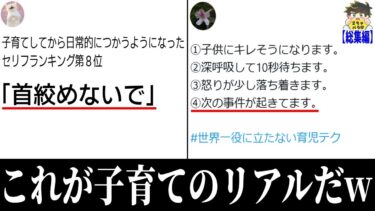 【2chバラエティ】【総集編】育児のリアルがおもしろすぎてツッコミどころ満載だったwww笑ったら寝ろwww【ゆっくり】