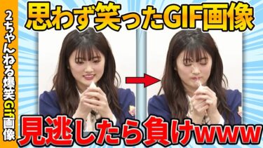 【ゆっくり爆笑図鑑】【おもしろgif】2chで見つけたおもしろgif画像がヤバいww by 2ch【コメ付き】【ゆっくり解説】【2chスレ】【5ch】#237