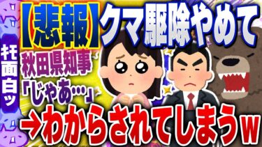 【ハチとオシン 】【ｷﾓ面白い2chスレ】【悲報】クレーマー「熊の駆除やめて！」→秋田県知事「じゃあ…」最強すぎるwww【ゆっくり解説】