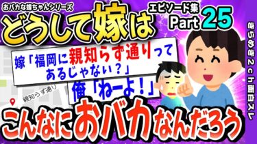 【きらめき2ch】【2ch面白いスレ】25どうして嫁はこんなにおバカなんだろう→おバカな嫁ちゃんたちが面白過ぎるｗｗｗ【ゆっくり解説】