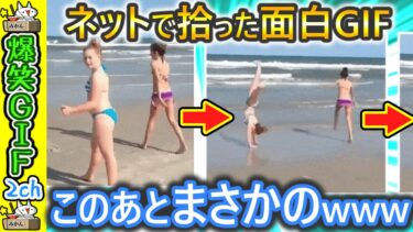 【5ちゃんねこ】【2ch面白い動画】やっぱりこのgif大好きだわ！