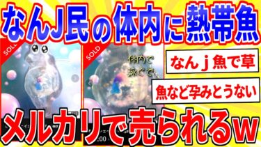 【鉄人28匹ギコ&しぃ】なんJ民、体の中に熱帯魚を入れられメルカリで売られる【2ch面白いスレゆっくり解説】