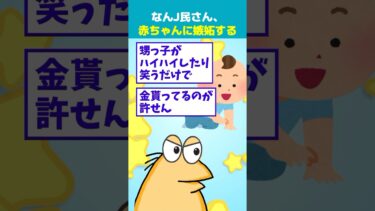 【なんJ民の巣窟】【2ch面白】甥っ子がハイハイしたり笑うだけで金もらってるのが許せん