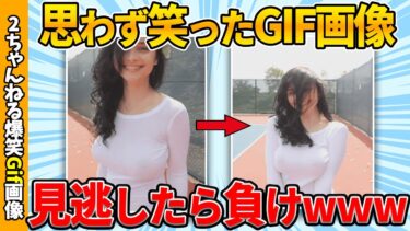 【ゆっくり爆笑図鑑】【2chおもしろgif】おもしろgif画像で吹いたら寝ろww by 2ch【コメ付き】【ゆっくり解説】【2chスレ】【5ch】#236