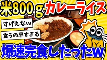 【2ch面白キッチン】【2ch面白いスレ】米800gのカレーたのんだ！→その完食スピードが速すぎるwww