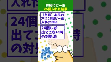 【なんJ民の巣窟】【2ch面白】お尻にビー玉26個入れたのに24個しか出てこない