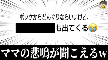 【2chバラエティ】【絶叫】子どもがポッケに入れてて困るもの第一位これだろwww笑ったら寝ろwww【ゆっくり】