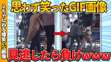 【ゆっくり爆笑図鑑】【2chgif】おもしろgif画像で笑ったら寝ろww by 2ch【コメ付き】【ゆっくり解説】【2chスレ】【5ch】#244