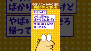 【なんJ民の巣窟】【2ch面白】どうすればいい？ニートのくせに家族のテレビ壊しちゃった