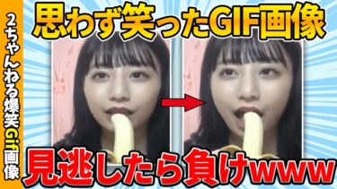 【ゆっくり爆笑図鑑】【吹いたら負け】おもしろgif画像集めてきたぞww by 2ch【コメ付き】【ゆっくり解説】【2chスレ】【5ch】#249