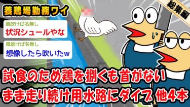 【2ch人情屋台】【悲報】養鶏所勤務ワイ、試食のために上司が鶏を捌くも首がないまま走り続けて用水路にダイブする。他4本を加えた総集編【2ch面白いスレ】