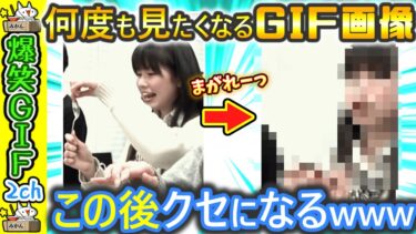 【5ちゃんねこ】【面白画像】カメラが捉えたおもしろGIF動画 　by 2ch