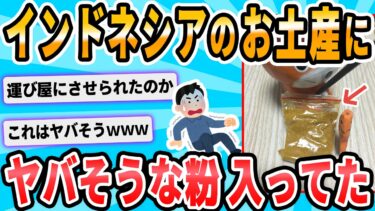 【2chが好きなんだお】【2ch面白いスレ】インドネシアでお土産買ったら中に粉入っててワロタwwwwww