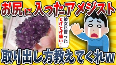 【イッチは圧倒的】【2ch面白いスレ】お●りに入ったアメジストの取り出し方を教えてくれwwww【ゆっくり解説】【総集編】