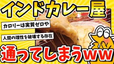 【2ch面白キッチン】【2ch面白いスレ】ワイ、インドカレー屋に2日連続行ってしまうwww【飯テロ】