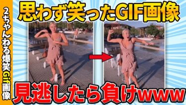 【ゆっくり爆笑図鑑】【総集編】2chで拾ったおもしろgif画像まとめたぞww by 2ch【コメ付き】【ゆっくり解説】【2chスレ】【5ch】