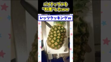 【2ch面白キッチン】【2ch面白いスレ】パイナップル1つ丸ごと適当に料理するwww