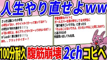 【2chウサバラ】天才的なコピペだけ集めたら呼吸困難なったんだがwww