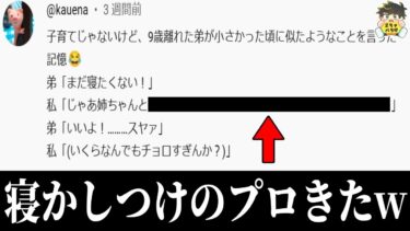 【2chバラエティ】【必見】絶対に試したくなる寝かしつけテクをプロが教えてくれたwww笑ったら寝ろwww【ゆっくり】