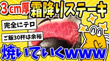 【2ch面白キッチン】【2ch面白いスレ】厚さ3cmの極厚霜降りステーキ焼いていくwww