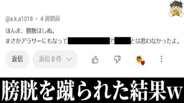 【2chバラエティ】【内蔵ｱﾀｯｸ】赤さんに膀胱を蹴られたママさん◯◯してしまうwww笑ったら寝ろwww【ゆっくり】