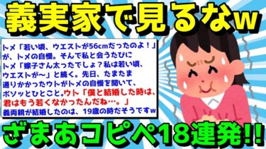 【ゆっくり君の2ch】【2ch面白いスレ】ざまあコピペで楽しく笑え！スカッとするコピペ18連発！【ゆっくり解説】