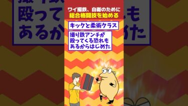 【なんJ民の巣窟】【2ch面白】ワイ撮鉄、自衛のために総合格闘技を始めた結果